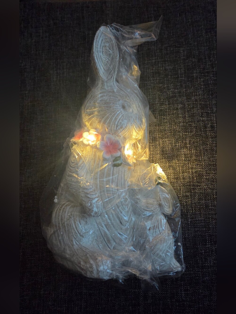 Solar Rabbit - Picture 4 of 5